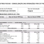 rel._apuracao_pis_cofins_det.png